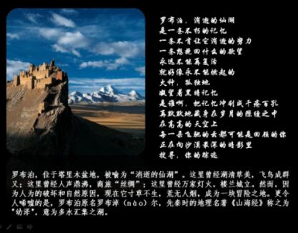 逗小猴开心系列213